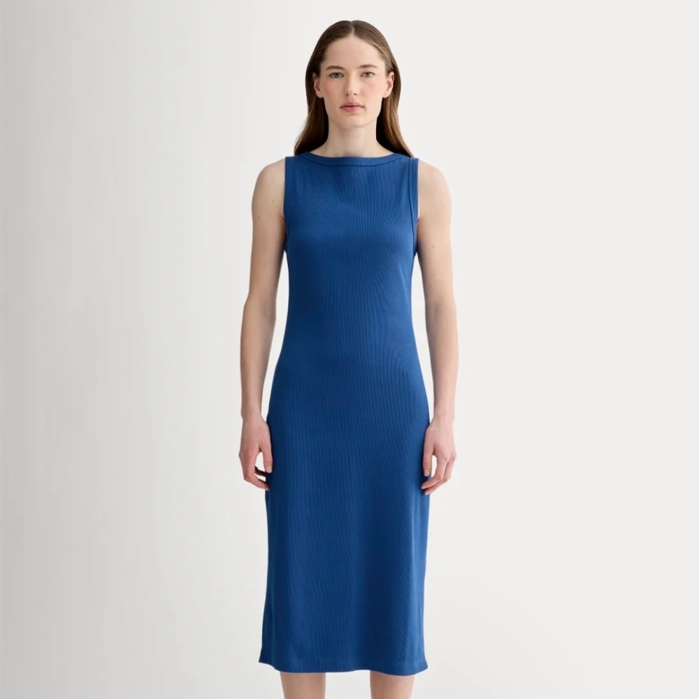 Everlane Classic Blue Midi Dress
